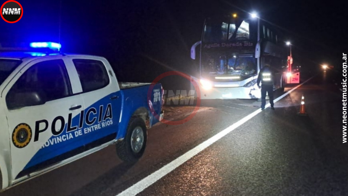Ubajay: un micro chocó contra una vaca en la Autovía 14