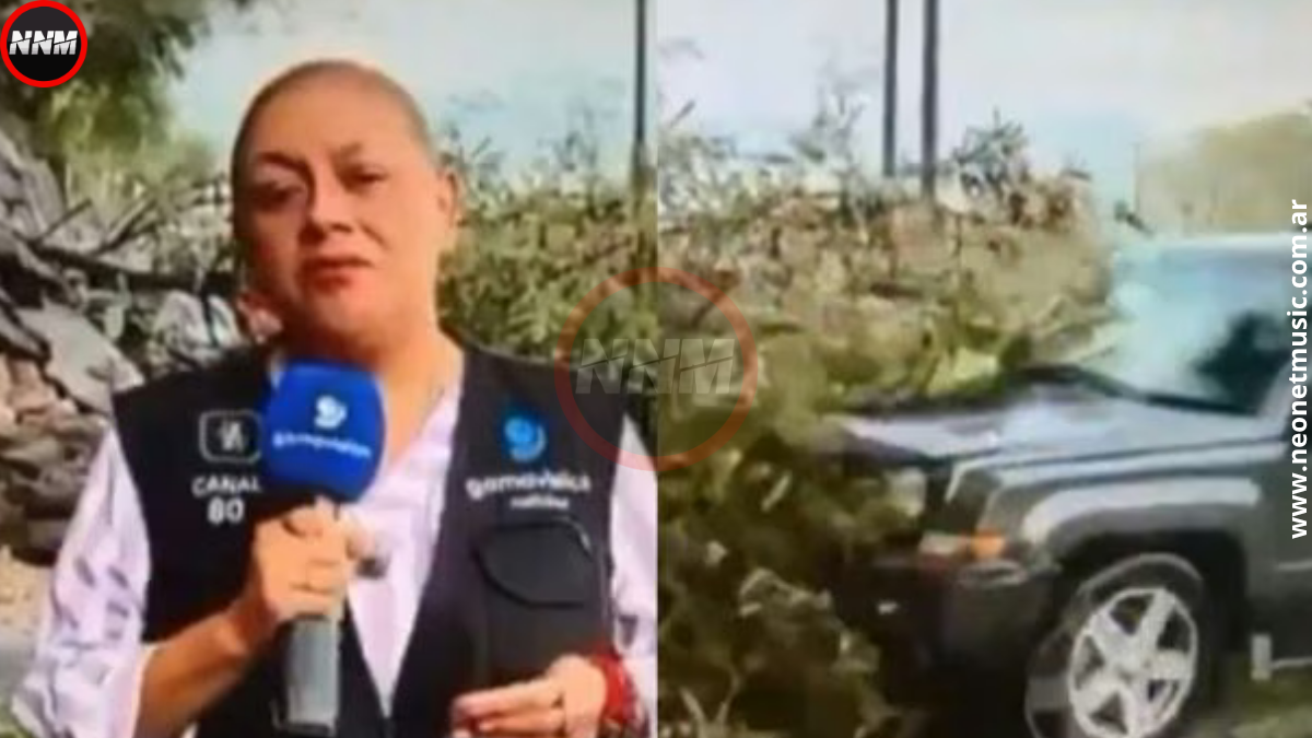 México: atropellaron a una cronista y su camarógrafo en vivo