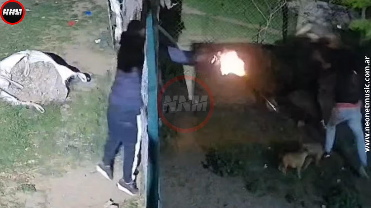 Córdoba: balearon a un hombre durante un robo a un taller