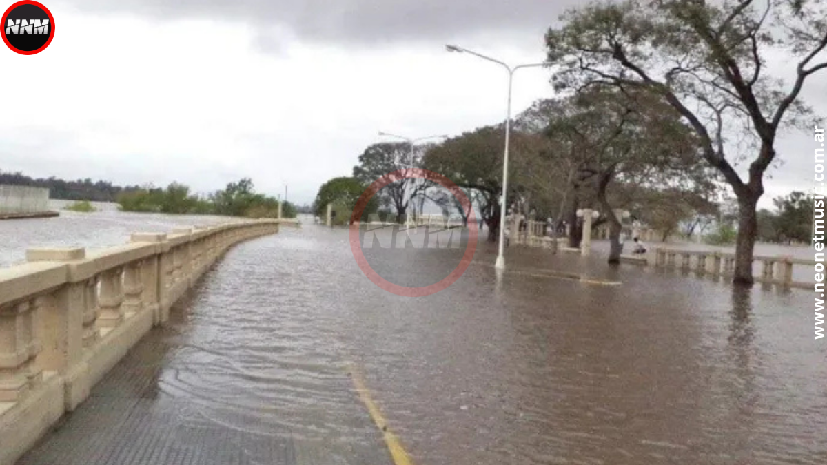 Crece el río Uruguay en Concordia