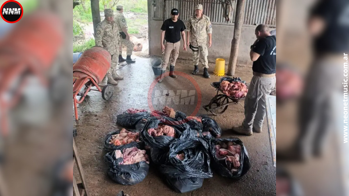 Desmantelan frigorífico clandestino en Colonia El Ramblón